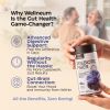 2 Pack High Prebiotic Fiber Gummies for Women and Men 7G per Serving Dietary Beet FOS Fiber Magnesium Citrate Inulin Probiotic Gummy Supplement for Di