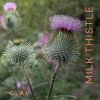 Organic Milk Thistle & Artichoke Extract Complex Rich in Silymarin & Bitters Liver Support Detox Supplement 120 Capsules 60 Days Supply Vegan Made in
