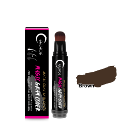 EELHOE Disposable Plant Hair Salon Root Touch Up Hair Chalk Hair Dye Pen For Roots, Haircolor Touch-Up Stick To Cover Gray Hair Root For Man And Women (Hair dye pen: Brown)